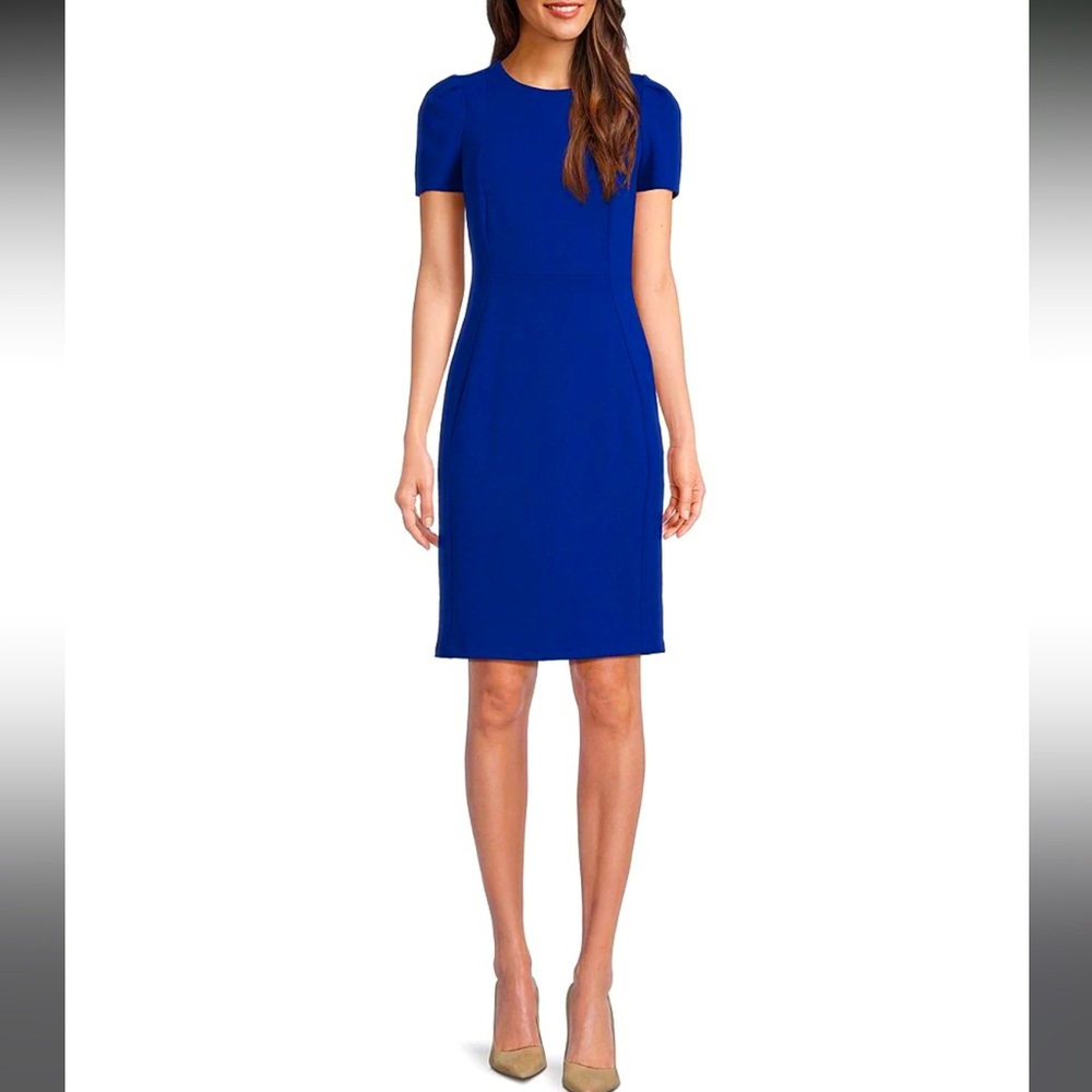Calvin Klein Short Pleated Sleeve Crew Neck Sheath Dress size 6
